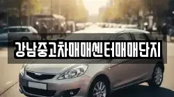 강남중고차매매센터매매단지