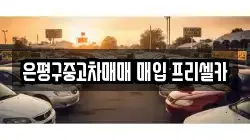 은평구중고차매매 매입 프리셀카