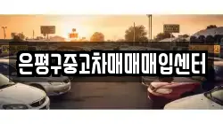 은평구중고차매매매입센터