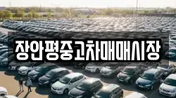 장안평중고차매매시장