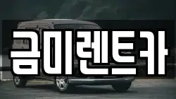 금미렌트카