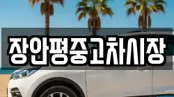 장안평중고차시장