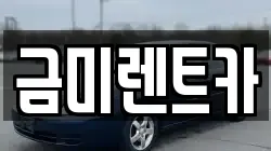 금미렌트카