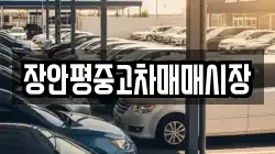 장안평중고차매매시장