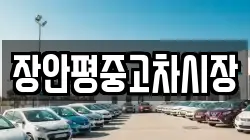 장안평중고차시장