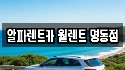 알파렌트카 월렌트 명동점