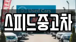 스피드중고차