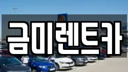 서울특별시 종로구 서린동 렌트카,단기렌트카,장기렌트카,중고차,중고차매매,중고차매입