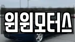 윈윈모터스