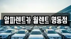 알파렌트카 월렌트 명동점