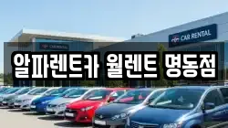 알파렌트카 월렌트 명동점