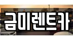 금미렌트카