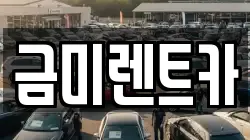 금미렌트카