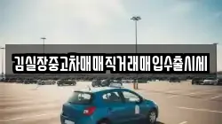 김실장중고차매매직거래매입수출시세