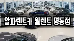 알파렌트카 월렌트 명동점