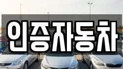 인증자동차