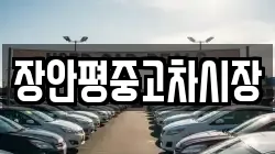 장안평중고차시장