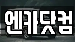 엔카닷컴