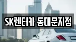 SK렌터카 동대문지점