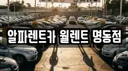 알파렌트카 월렌트 명동점
