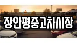 장안평중고차시장