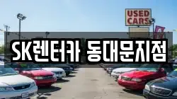서울특별시 중구 을지로6가 렌트카,단기렌트카,장기렌트카,중고차,중고차매매,중고차매입