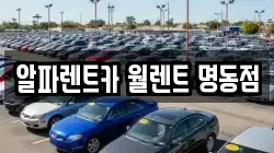 알파렌트카 월렌트 명동점
