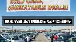 강아지파양고양이파양유기견보호소실종구조안락사없는보호센터