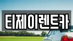 서울특별시 중구 태평로2가 렌트카,단기렌트카,장기렌트카,중고차,중고차매매,중고차매입