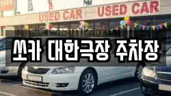 서울특별시 중구 필동2가 렌트카,단기렌트카,장기렌트카,중고차,중고차매매,중고차매입