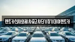 서울특별시 중구 필동3가 렌트카,단기렌트카,장기렌트카,중고차,중고차매매,중고차매입
