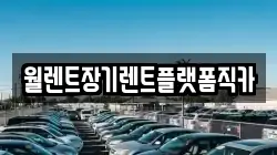 서울특별시 중구 흥인동 렌트카,단기렌트카,장기렌트카,중고차,중고차매매,중고차매입