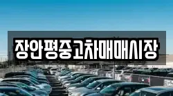 장안평중고차매매시장