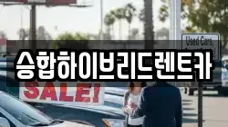승합하이브리드렌트카
