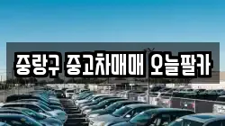 중랑구 중고차매매 오늘팔카