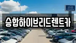 승합하이브리드렌트카