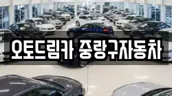 오토드림카 중랑구자동차