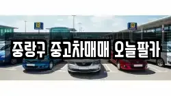 중랑구 중고차매매 오늘팔카