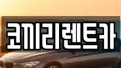 서울특별시 중랑구 렌트카,단기렌트카,장기렌트카,중고차,중고차매매,중고차매입