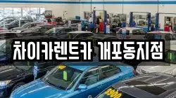 서울 강남구 개포동 렌트카,단기렌트카,장기렌트카,중고차,중고차매매,중고차매입