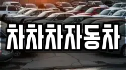 차차차자동차