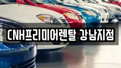 CNH프리미어렌탈 강남지점