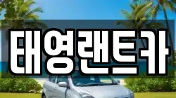 태영랜트카
