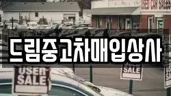 드림중고차매입상사