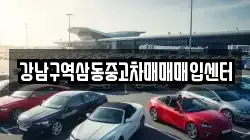 강남구역삼동중고차매매매입센터
