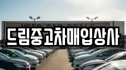 드림중고차매입상사
