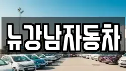 뉴강남자동차