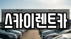 스카이렌트카