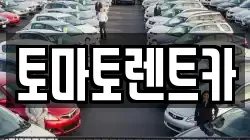 토마토렌트카