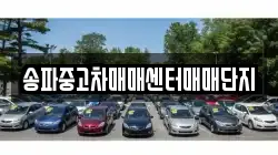 송파중고차매매센터매매단지